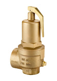 NABIC 500 High Lift Safety Valve