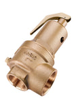 NABIC 500 High Lift Safety Valve