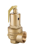 NABIC 500 High Lift Safety Valve