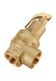 NABIC 542 Safety Relief Valve