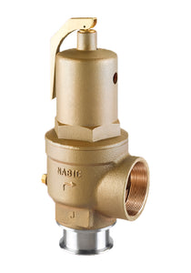 NABIC 500ST High Lift Safety Valve