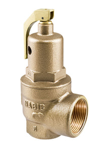 NABIC 500 High Lift Safety Valve